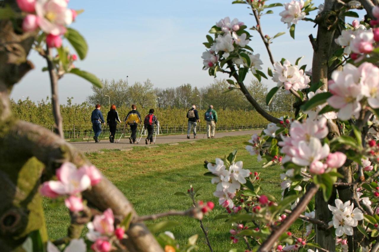 Bed and Breakfast Lesroses1680 Blainville-sur-Mer Esterno foto